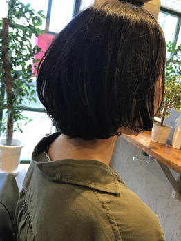 ボブ_20180910_2