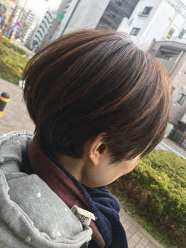 カットカラー_20190216_1