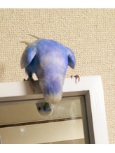 ブログ画像